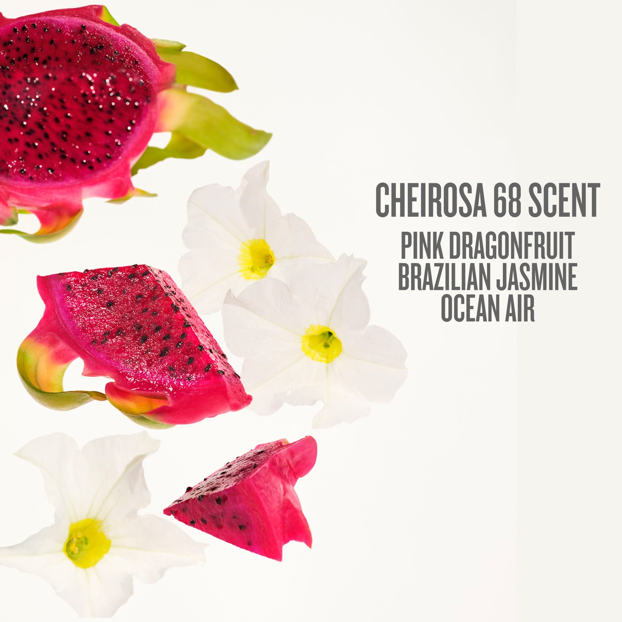 Beija Flor™ Elasti-Body Oil