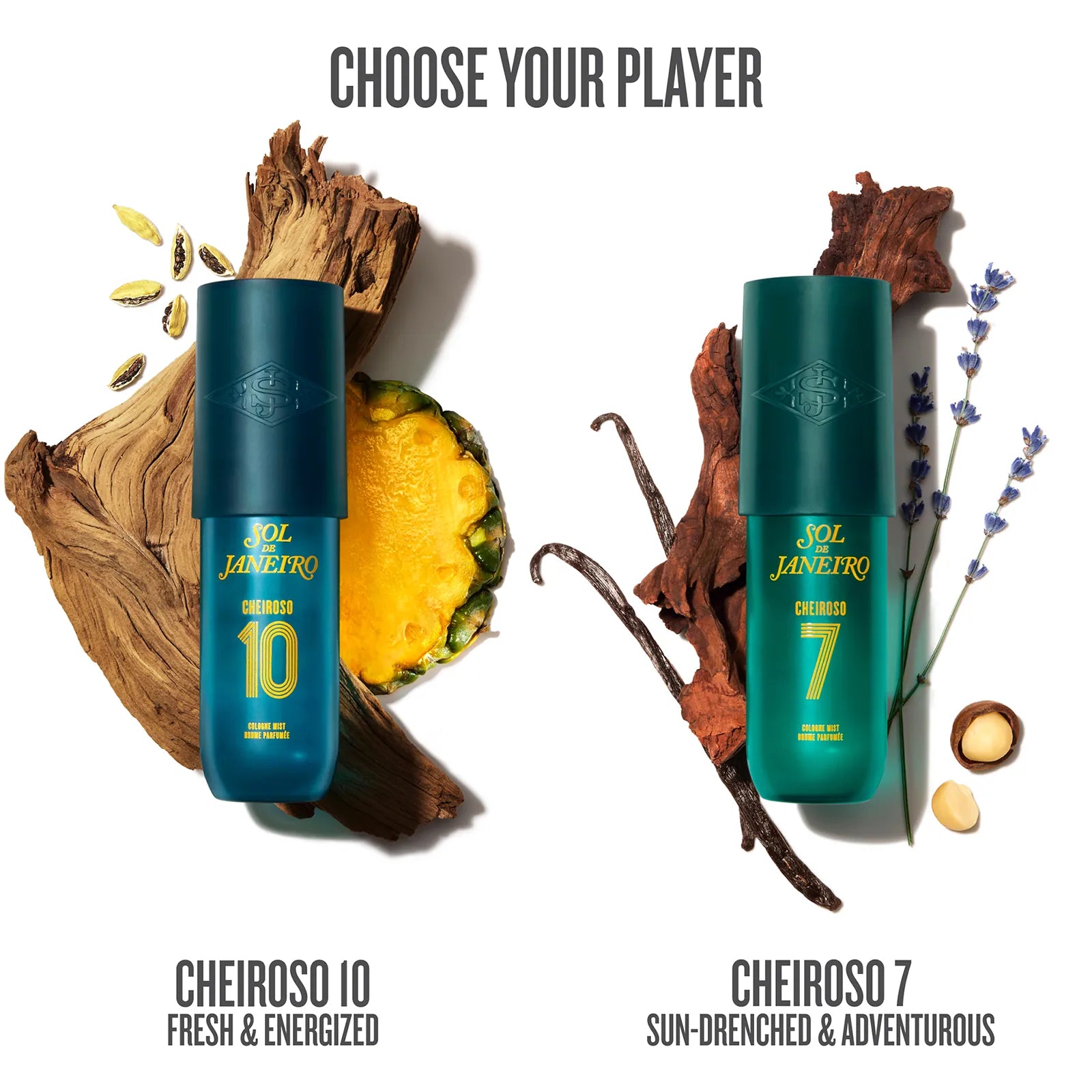 New Meets Iconic Scent Bundle